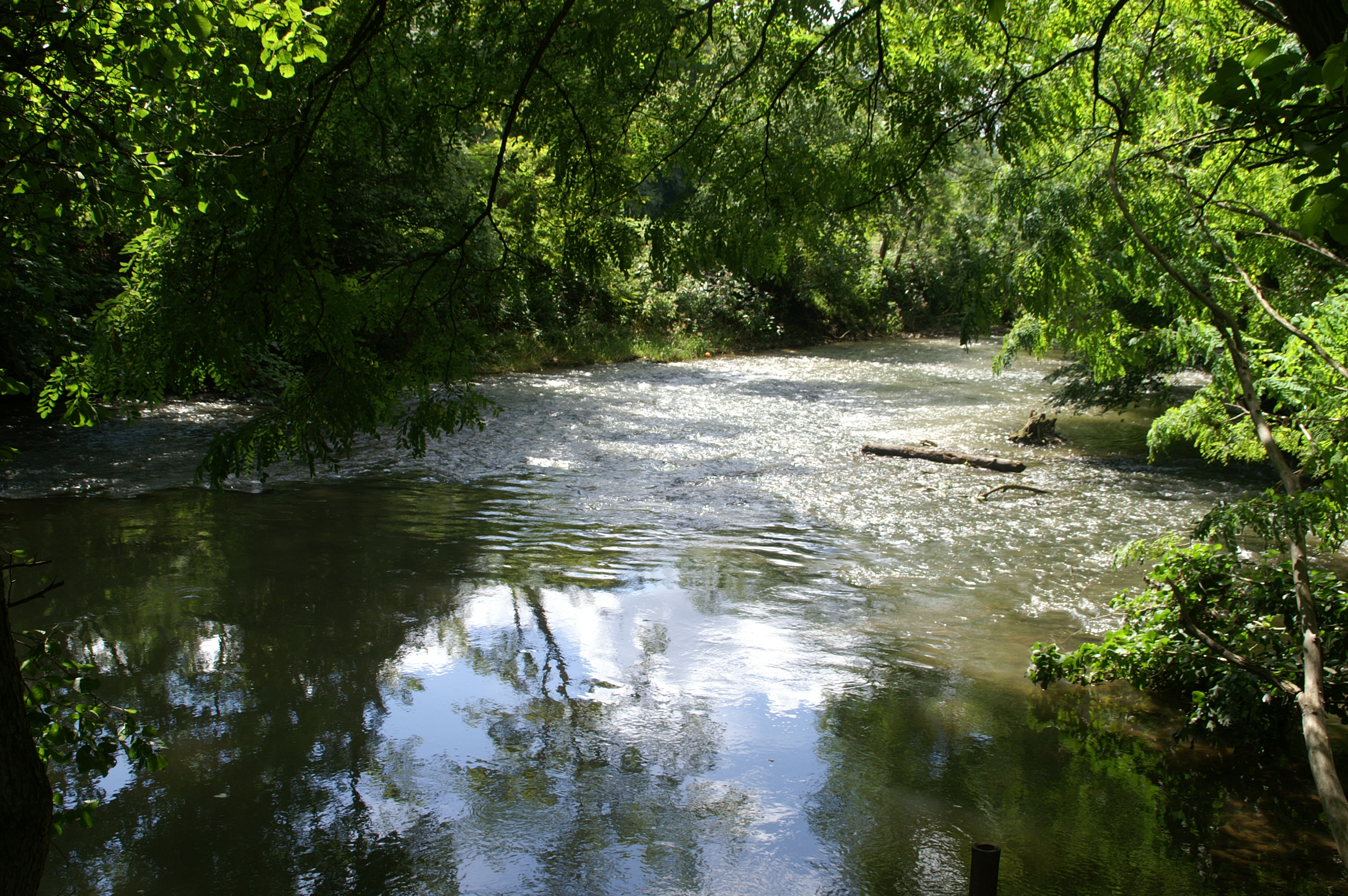 Die Rems - Naturschutzgebiet Rems 